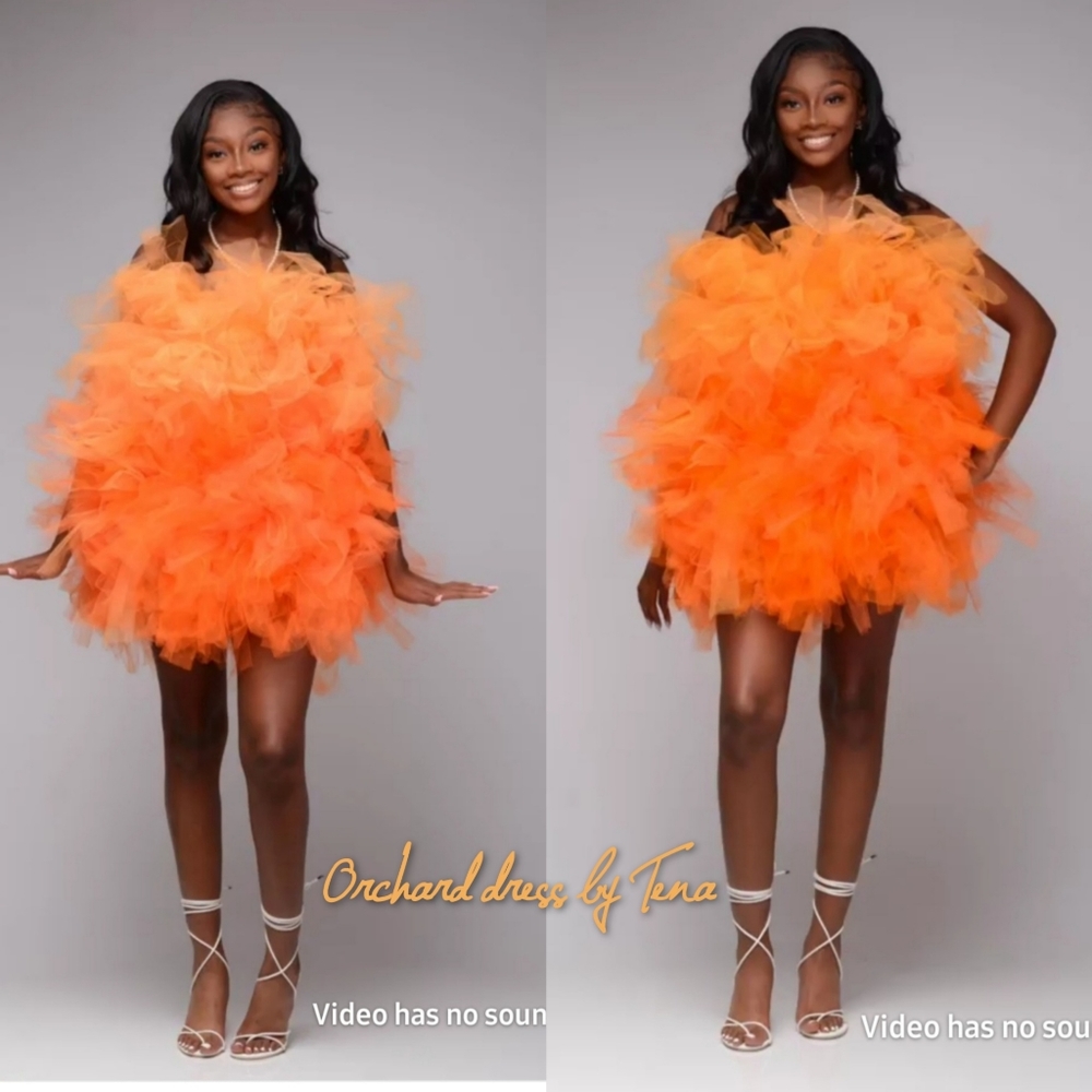 Tulle Dress